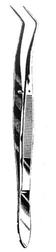 pin meriam.jpg