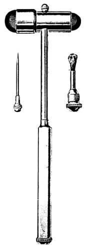 n1-350.jpg