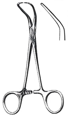 spinak backhaus.jpg